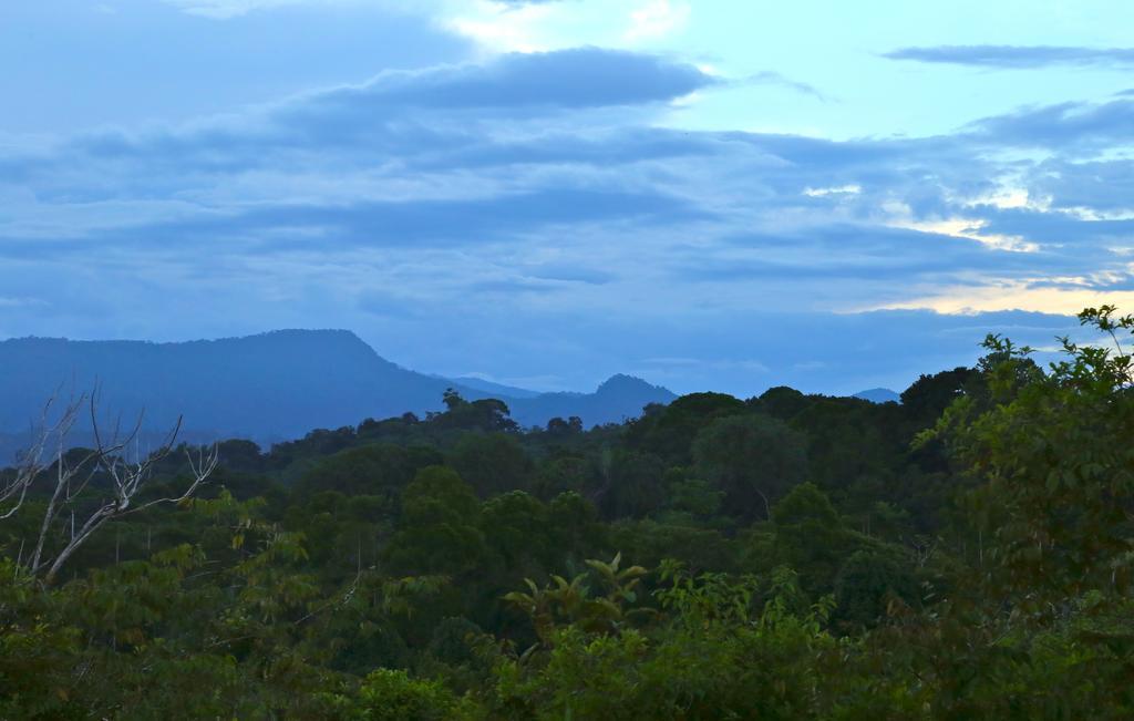 Blue Banyan Inn Quepos Buitenkant foto